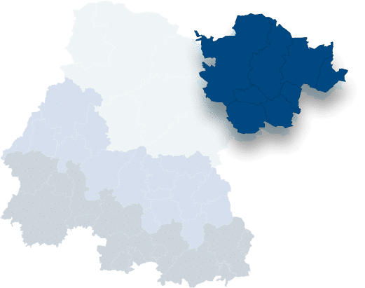 Guanajuato Región Noreste