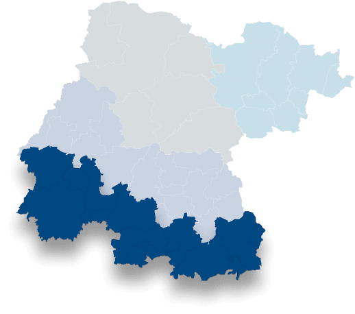 Guanajuato Región Sur