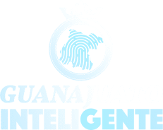 Guanajuato InteliGente