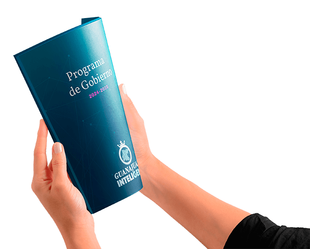 Programa de Gobierno descargable